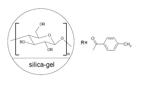 FLM Chiral NS(2)