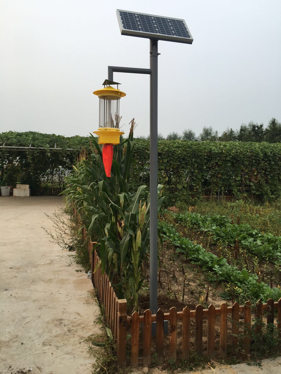 ̫��ܚ��x��